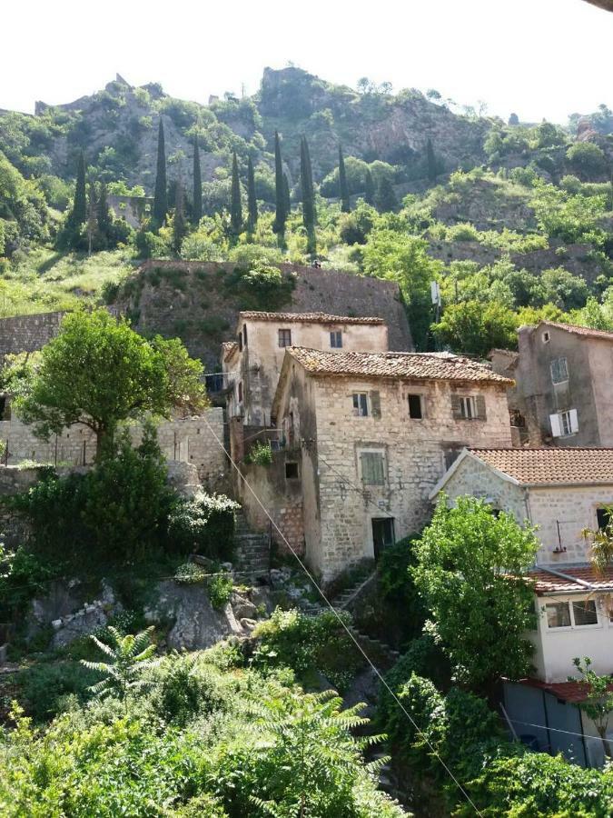 Hotel Nova Dvokrevetna Soba Sa Dva Odvojena Kreveta I Zajednickim Kupatilom Kotor Exterior foto